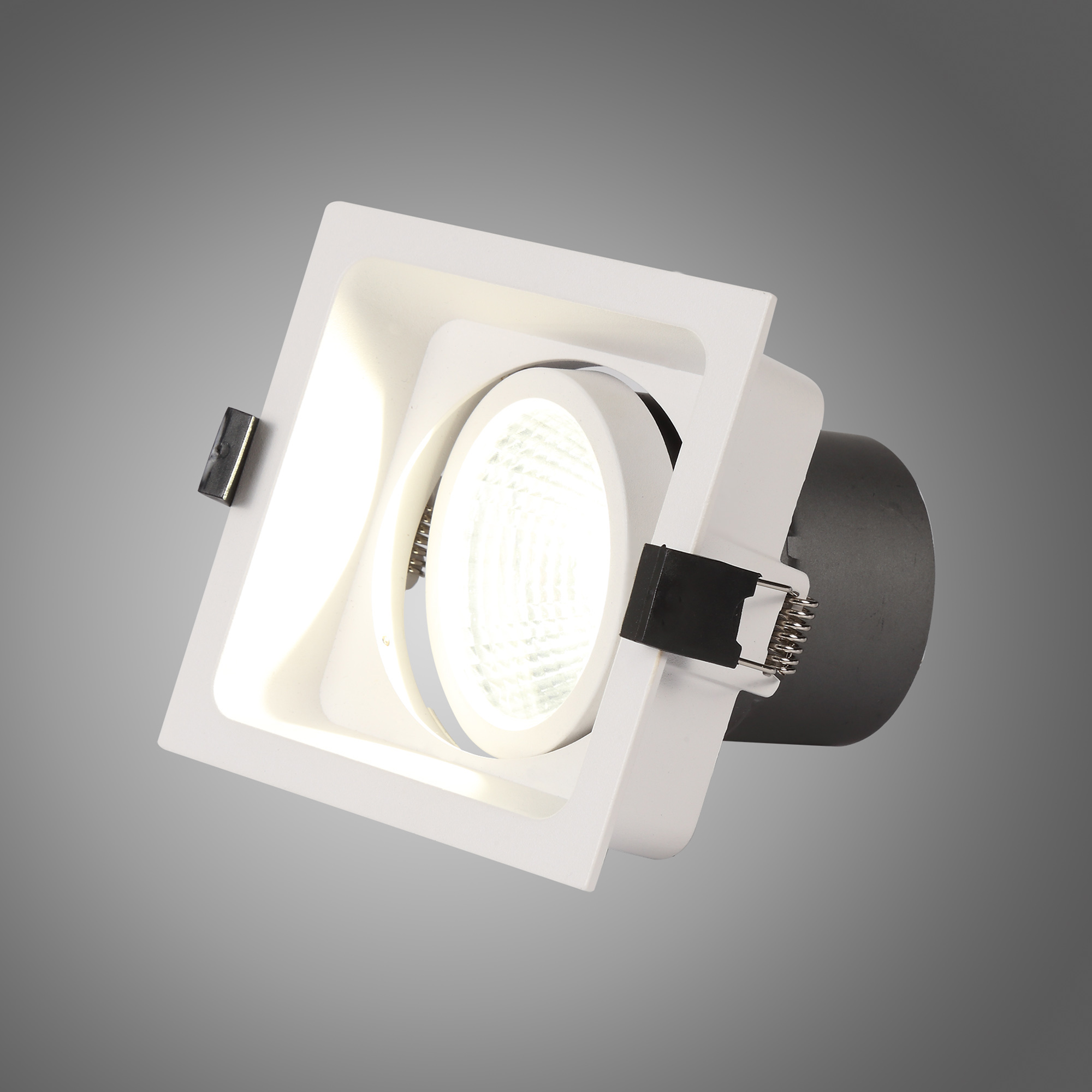Bodar SQ A 20 Recessed Ceiling Luminaires Dlux Square/Rectangular Recess Ceiling